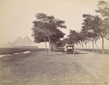 Caire. Allée de Pyramides, ca. 1870. Creator: Felix Bonfils.