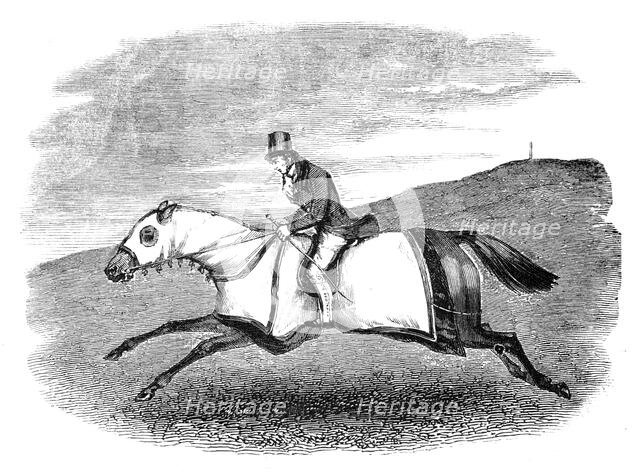 Horse-training, 1844. Creator: Unknown.