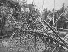 ''Pont jete sur une riviere de la Nouvelle-Guinee britannioue; Les Terres Du Pacifique', 1914. Creator: Unknown.