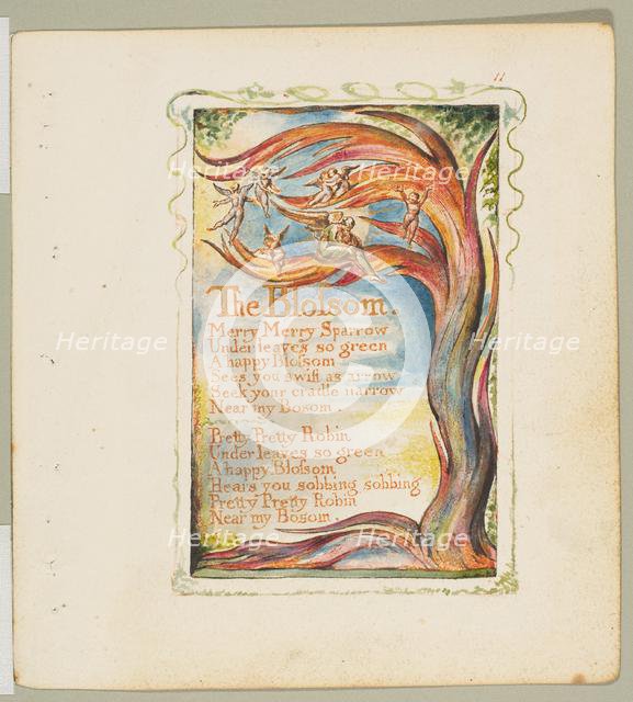 Songs of Innocence and of Experience: The Blossom: Merry Merry Sparrow, ca. 1825. Creator: William Blake.