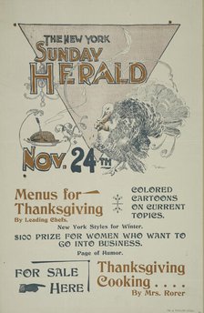 The New York Sunday herald. Nov. 28th., c1895. Creator: Charles Hubbard Wright.