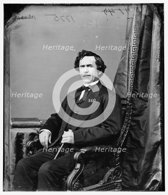 Griffin, between 1860 and 1875. Creator: Unknown.