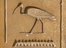 Ibis Hieroglyph, Mastaba of Kagemni, Saqqara, Egypt, Old Kingdom, 6th Dynasty, 2350 BC (2003). Creator: Unknown.
