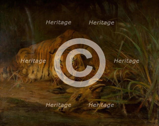 Tiger And Prey, 1931. Creator: Cuthbert Edmund Swan.