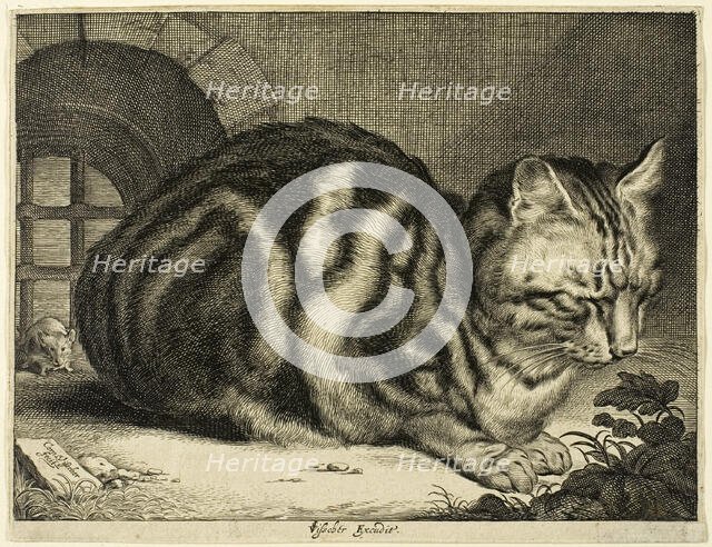 The Large Cat, 1657. Creator: Cornelis de Visscher.