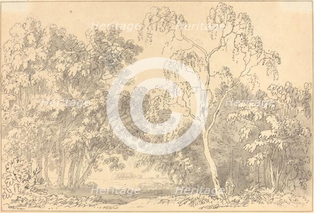 Wooded Landscape. Creator: Anthony Devis.