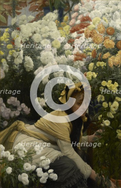 Chrysanthemums, c. 1875.