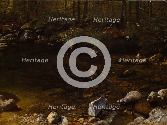 Shady Pool, White Mountains, New Hampshire, c. 1869. Creator: Albert Bierstadt.