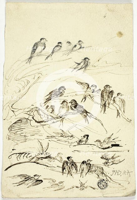 Swallows Before They Take Their Departure, n.d. Creator: James Ward.
