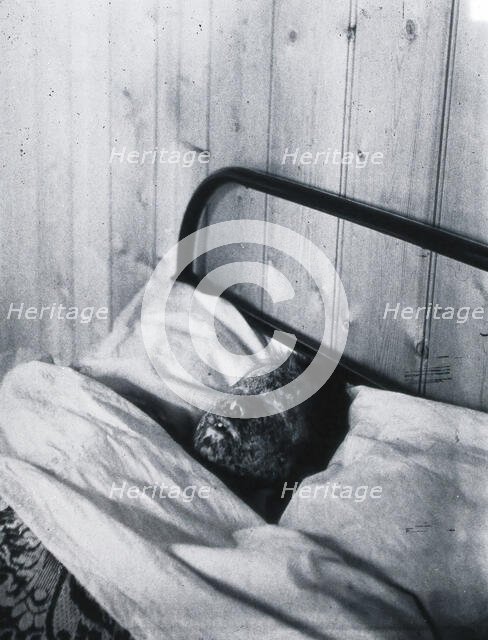 Gloucester smallpox epidemic, 1896: Kate Mills, a smallpox patient, 1896. Creator: HCF of Gloucester.