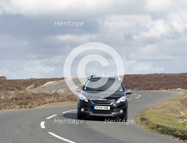 2014 Peugeot 2008 Hdi Feline Artist: Unknown.