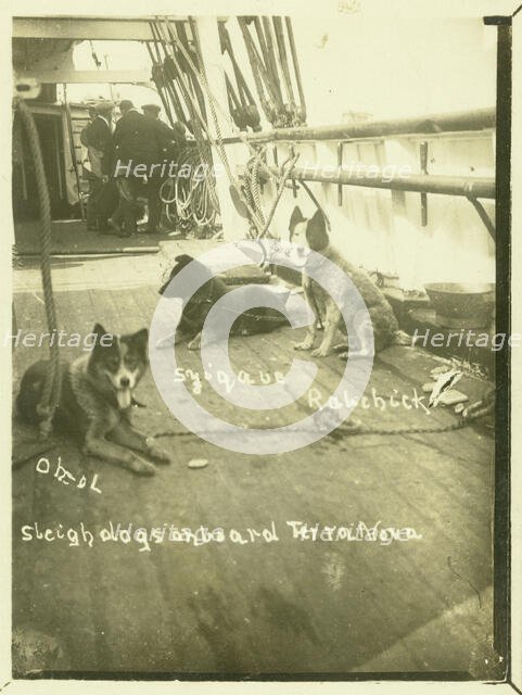 Terra Nova, Antartic Expedition, c1913. Creator: Unknown.