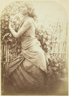 Woman, Ceylon, 1875/79. Creator: Julia Margaret Cameron.