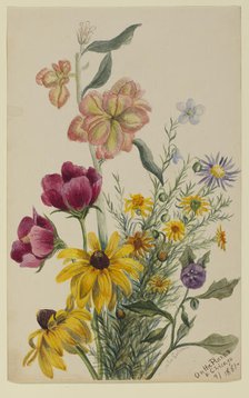Group of Flowers, 1881. Creator: Mary Vaux Walcott.