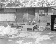 Miner's shack, Blue Blaze coal mine, Consumers, near Price, Utah, 1936. Creator: Dorothea Lange.
