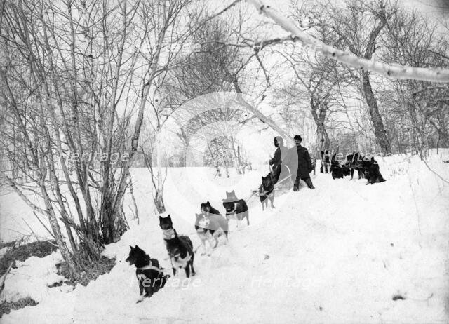 Dog sled expedition in the forest, 1910-1929. Creator: Ivan Emelianovich Larin.