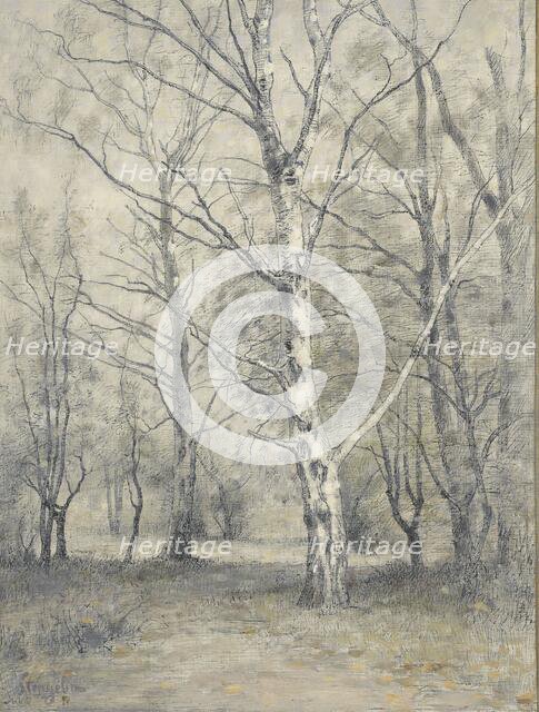 Forest with birch trees, 1875-1910. Creator: Alphonse Stengelin.