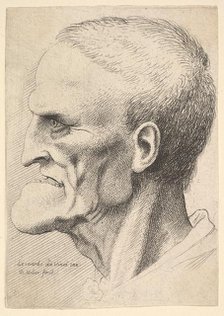 Head of an old man with a pronounced chin, short cropped hair and gaping mouth showing ..., 1625-77. Creator: Wenceslaus Hollar.