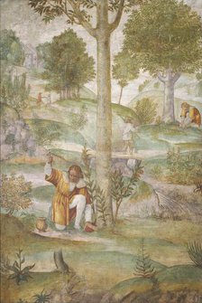 Cephalus Hiding the Jewels, c. 1520/1522. Creator: Bernardino Luini.