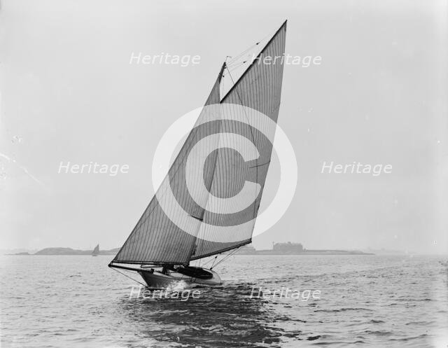 Thrush, 1892 Aug 13. Creator: Unknown.