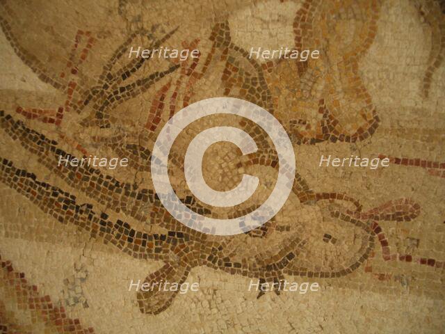 Mosaic, El Jem Museum, El Djem, Tunisia, 2009. Creator: Amanda Waite.