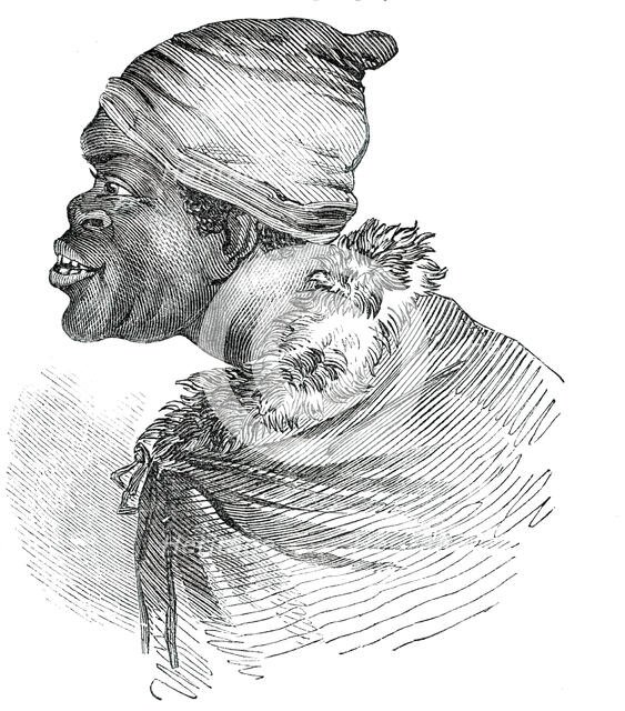 Bhutchuana Waggon Leader, 1850. Creator: Unknown.