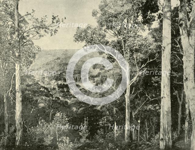 'The Blue Mountains', 1901. Creator: Unknown.
