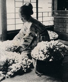 '5000 silkworms eat 125 lbs of mulberry for 8 skeins of silk, making one kimono', c1900, (1921). Artist: Julian Leonard Street.