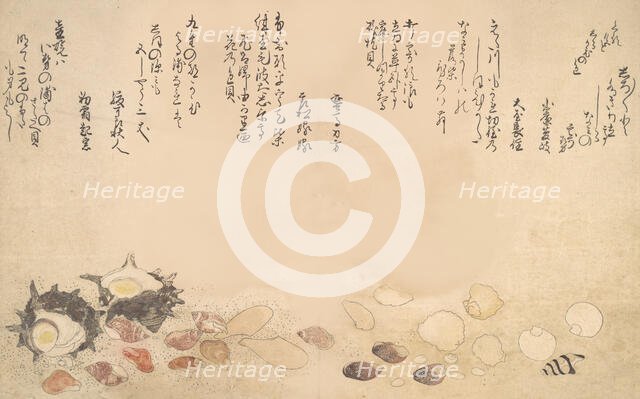 Shells under Water, 1790. Creator: Kitagawa Utamaro.