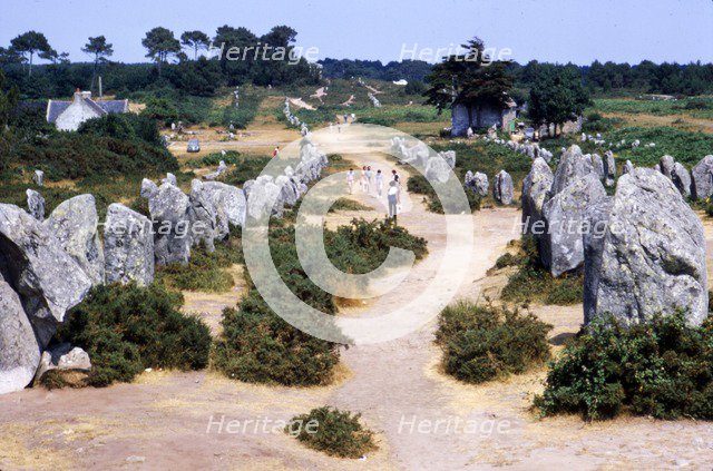 Carnac, Brittany Alignments at Kermario,  Neolithic, 4500-2000 BC, (c20th century) Artist: CM Dixon.