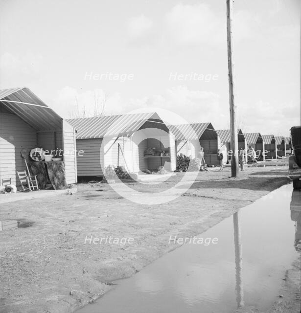 Prefabricated steel dwellings, Farm Security Administration, Farmersville, California, 1939. Creator: Dorothea Lange.