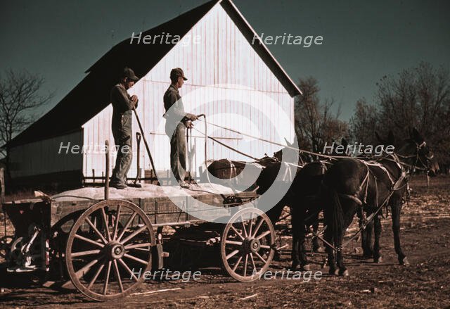 Southeastern Georgia?, ca. 1940. Creator: Marion Post Wolcott.
