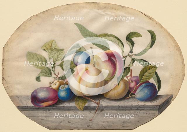 Fruit Arrangement: Peaches and Plumbs on a Slab of Marble, 1742. Creator: Georg Dionysius Ehret (German, 1708-1770).