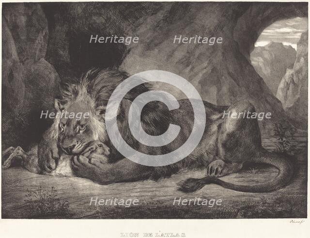 Lion of the Atlas Mountains (Lion de l'Atlas), 1829. Creator: Eugene Delacroix.