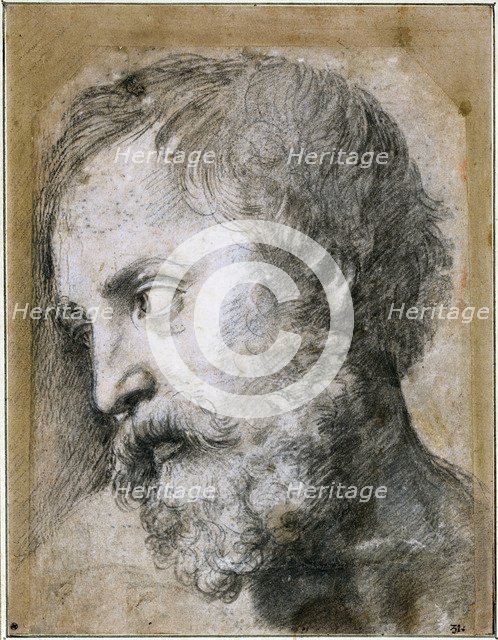 Head of An Apostle (Study for Transfiguration), 1519-1520. Artist: Raphael (1483-1520)