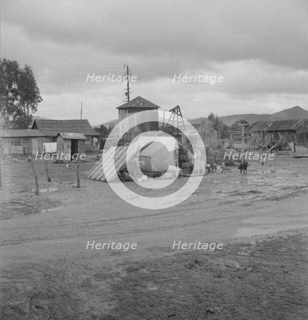 Mexican migratory citrus worker's family, near Strathmore, California, 1939. Creator: Dorothea Lange.