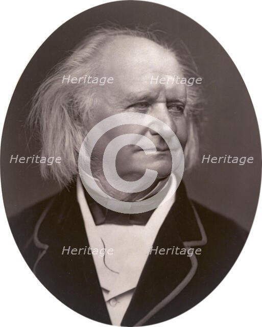 Thomas Webster, painter, 1878. Creator: Lock & Whitfield.