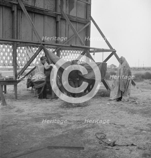 One of three families camped behind a billboard on U.S. 99, Kern County, California, 1938. Creator: Dorothea Lange.