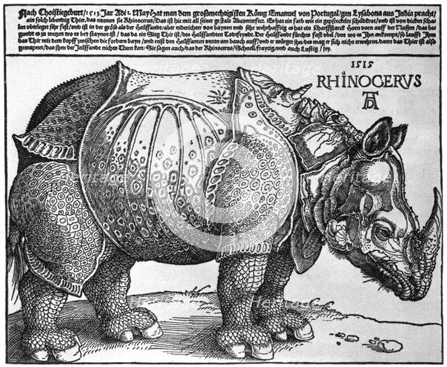 'Rhinoceros', print given to Maximilian I by the King of Lisbon, 1515, (1936). Artist: Albrecht Dürer
