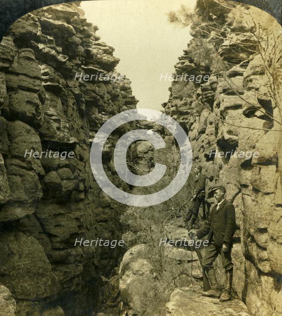 'Wonderland Avenue, or the Silent Street, Grampians, Victoria, Australia', 1908.  Creator: George Rose.