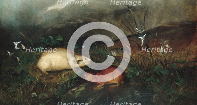 Hudson's Bay Lemming, 1846. Creator: John Woodhouse Audubon.