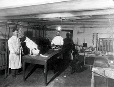 A basement (possibly the pre-operative room in the Physiology Department), Imperial..., 1904. Creator: Unknown.
