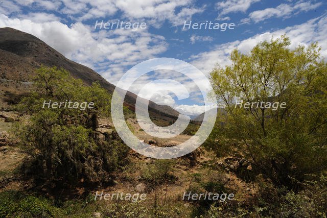 Kotosh, Huanuco, Peru, 2015. Creator: Luis Rosendo.