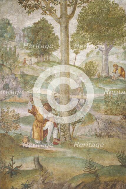 Cephalus Hiding the Jewels, c. 1520/1522. Creator: Bernardino Luini.