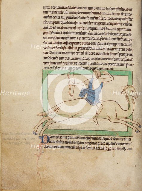A Dromedary; Northumberland Bestiary, about 1250-1260. Creator: Unknown.