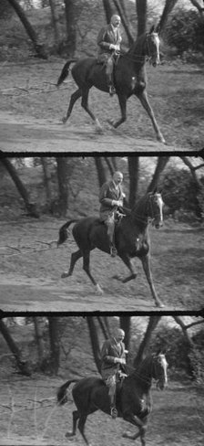 Rothbart, Albert, Mr., on horseback, between 1920 and 1935. Creator: Arnold Genthe.