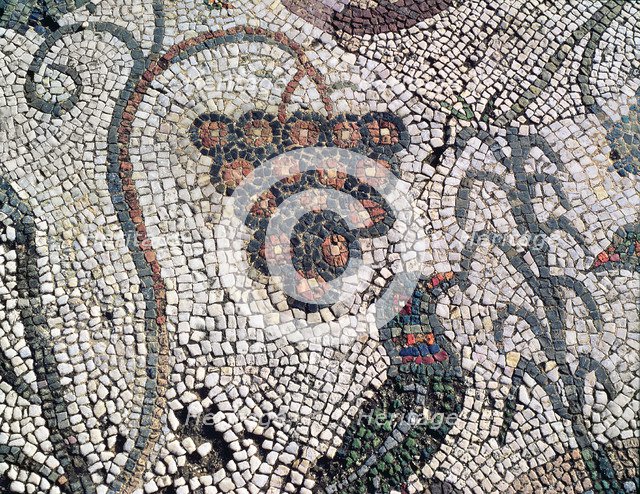 Mosaic in the Amphitheatre house representing a cluster of grapes and a bird, preserved in the ar…