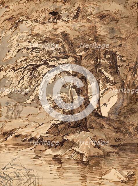 Tree study, undated. (c1850s) Creator: Friedrich Gauermann.