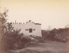 Birds on Roof of Small Building, 1860s-70s. Creator: Unknown.