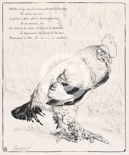 Le Coq (The Cock), 1882. Creator: Felix Bracquemond.